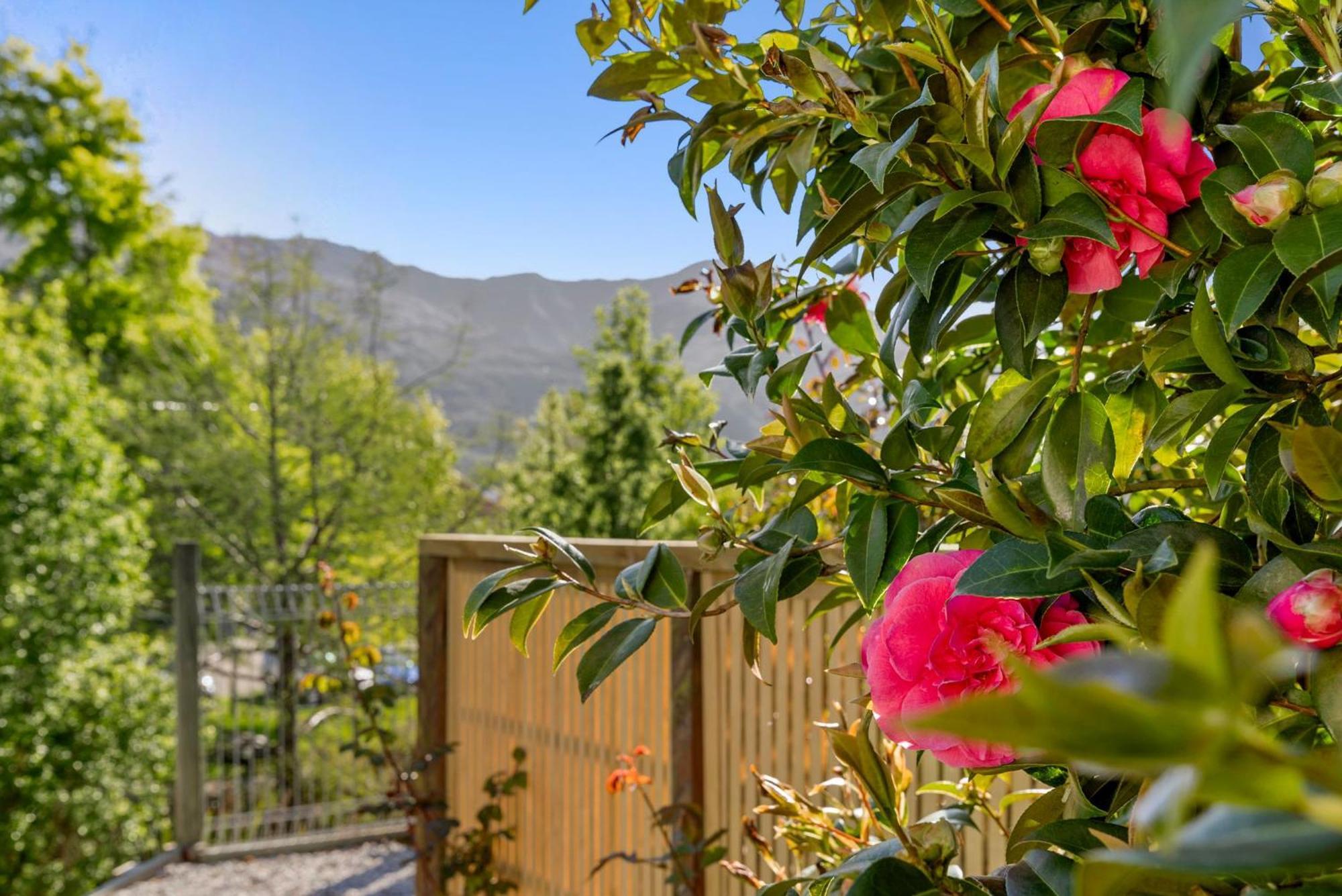 Asure Brookvale Motel Wanaka Eksteriør billede